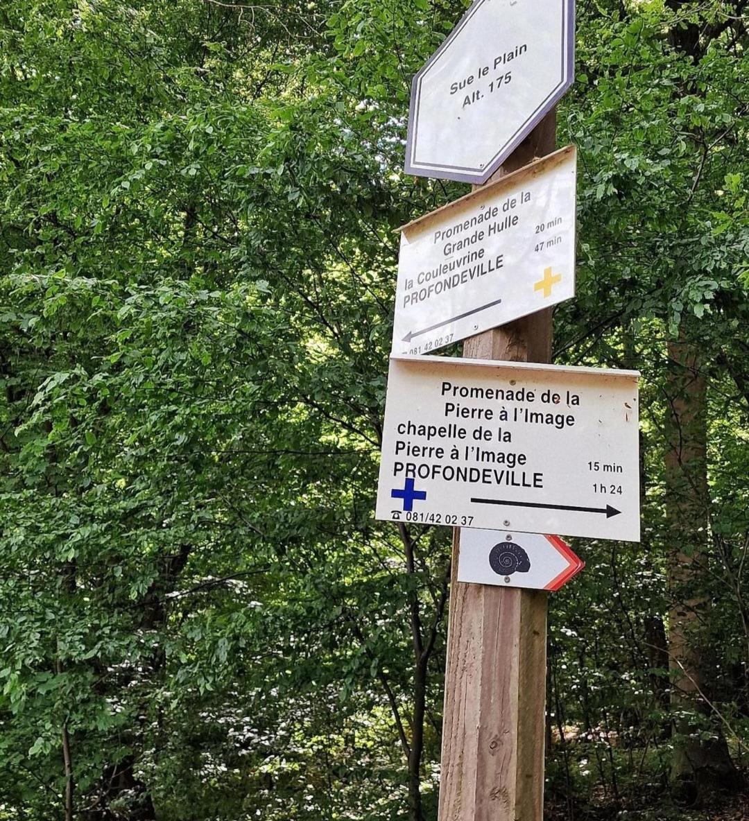 Escale Chambre D'Hotes Au Coeur Du Vieux Profondeville Entre Namur Et Dinant Exterior foto